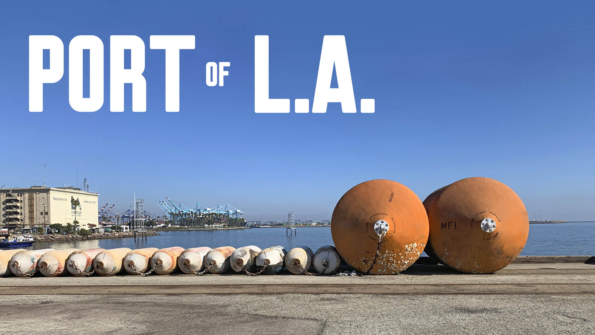 port of LA summer banner-01